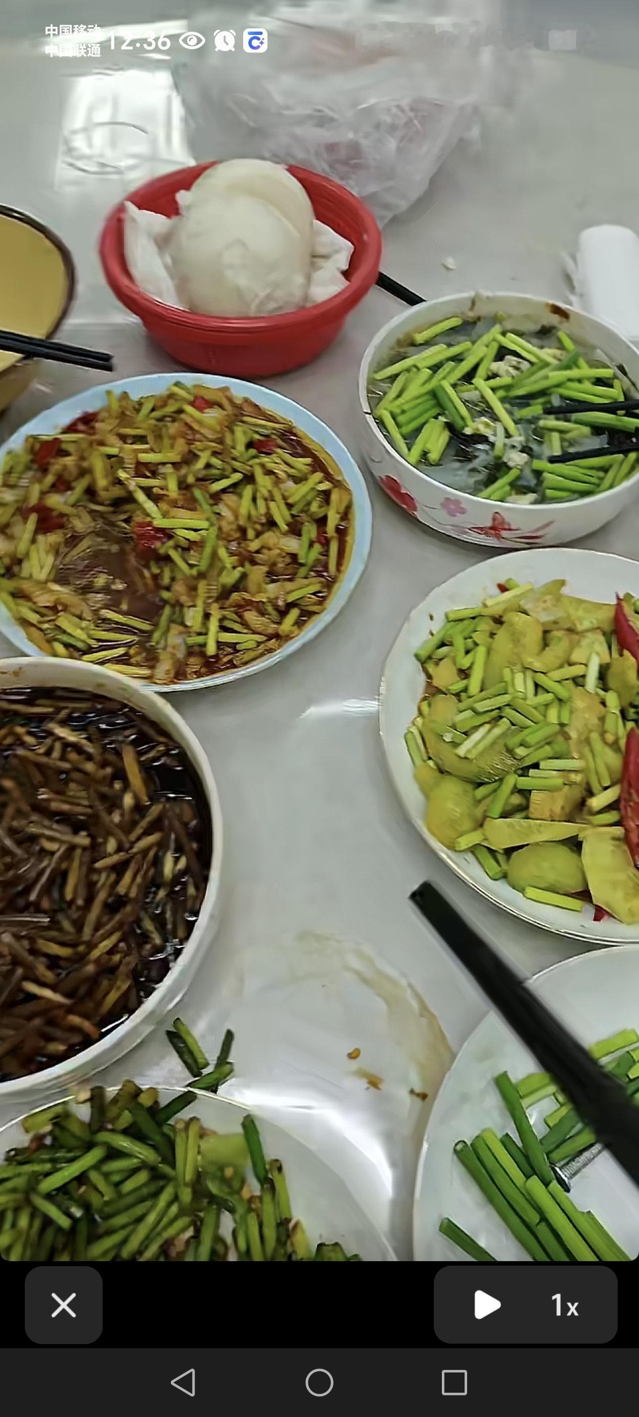 赶紧吃完，豆角马上要下来了，把冰箱里蒜苔吃完，好给豆角子腾位置[笑着哭]