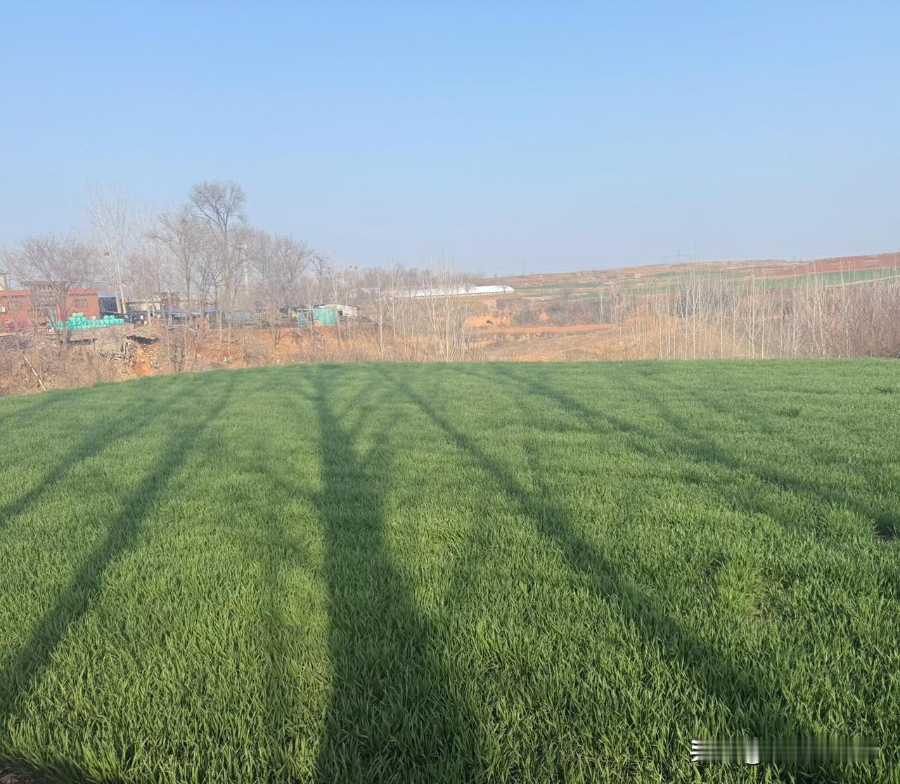 硕士研究生的我焦虑➕抑郁躯体化➕惊恐2025年我流了很多泪，我都不知道我怎么支