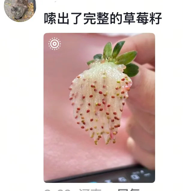 闲得慌的天才自传百年难出一个天才，一出出一百个​​​