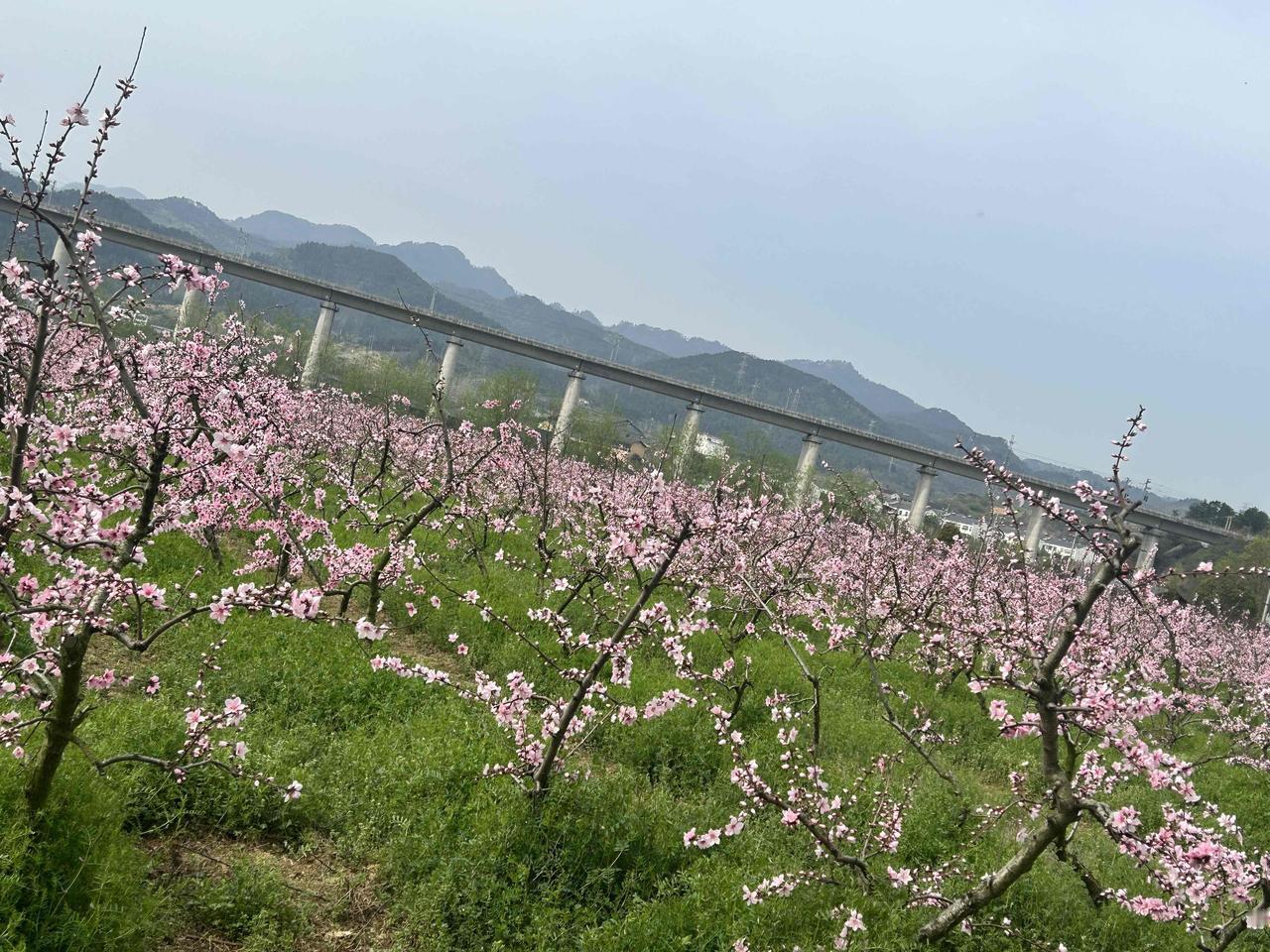 女人在婚姻中怎么保护自己咱们不扯什么“为家庭牺牲”的大道理，就说说实实在在怎么