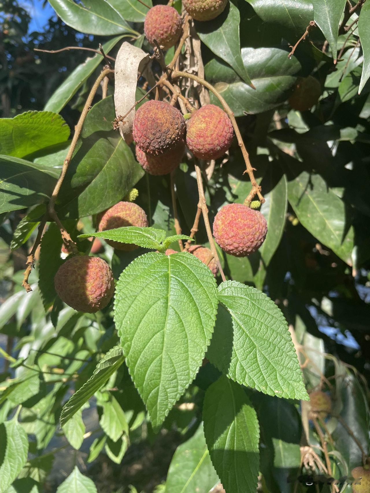 女孩子花了别人的钱，一定要还。一女子，讲自己的结婚宴被自己好朋友毁了，而且好朋友