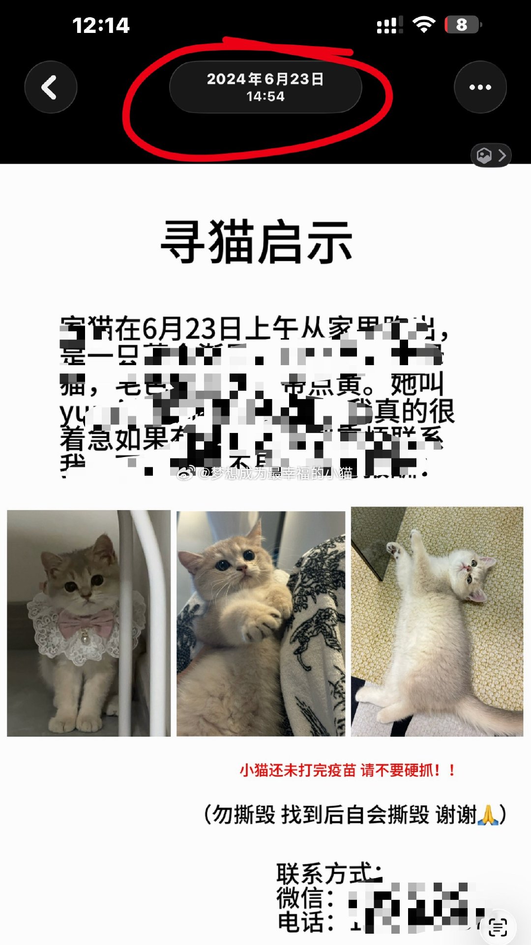 感觉上天在给我开玩笑我严格意义养的第一只猫就是在前年的今天丢的老天爷你整死我