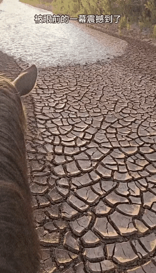 久旱逢甘霖此刻具象化了。