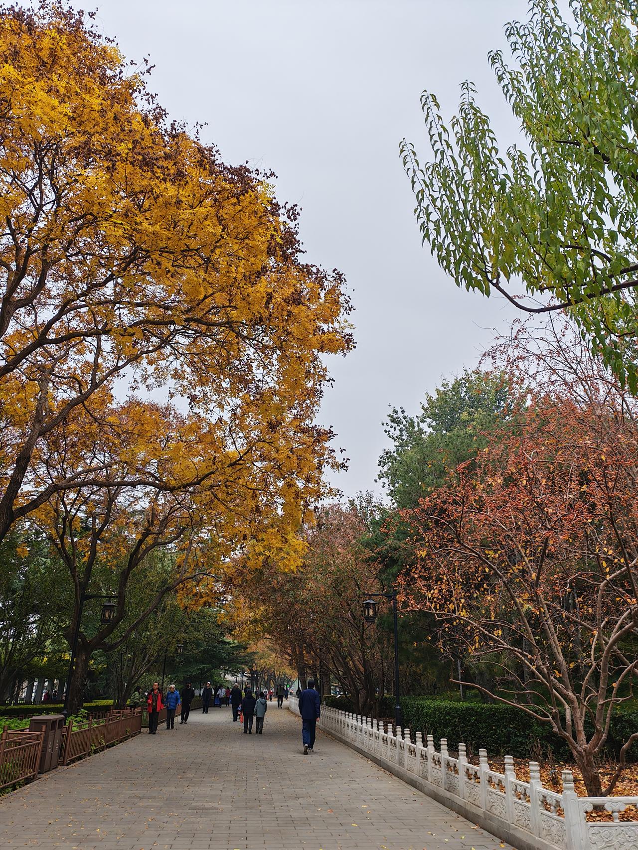 这样的父母实属少见啊，整整七年环球旅游就花掉了七百多万，实在是太能挥霍造钱了。父
