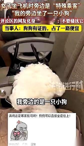 空姐走过来，一脸神秘兮兮地跟我说，我旁边这位“乘客”啊，有点特殊。我当时心里还