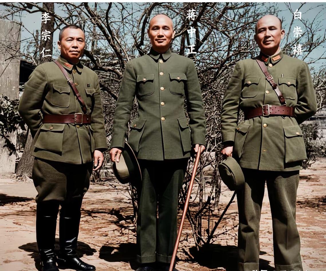 1948年，李宗仁当选副总统后，蒋介石为了抑制桂系，当即免掉白崇禧国防部长职务。