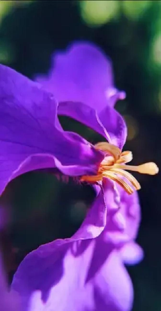 中年压力大，房贷车贷孩子教育一堆事砸下来，好多人觉得喘不过气！最新心理健康蓝皮书