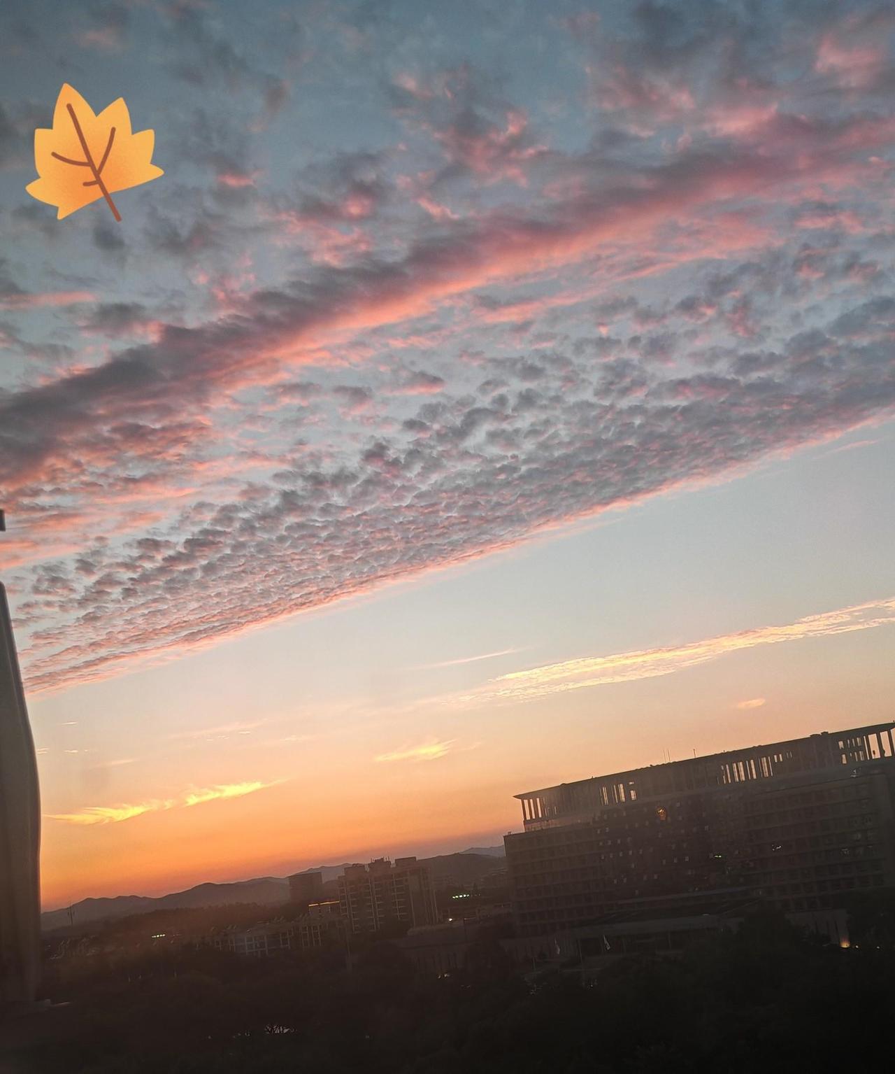 大家发现了吗？今年的天气太古怪了这都马上6月中旬了，可是早晚还要穿厚