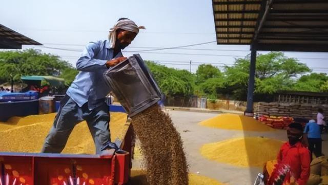 印度国土面积明明只有中国的三分之一，粮食产量还不足中国的一半，究竟是靠什么来养活