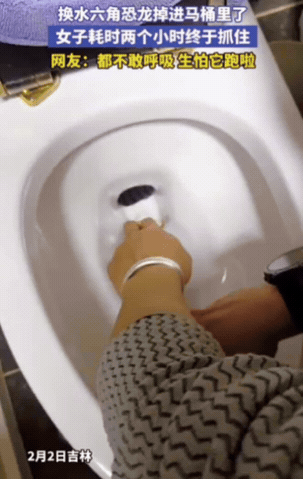 不忍直视！近日，吉林一女子上完厕所，直接将手伸进马桶，一扣就是2小时，原来，她上