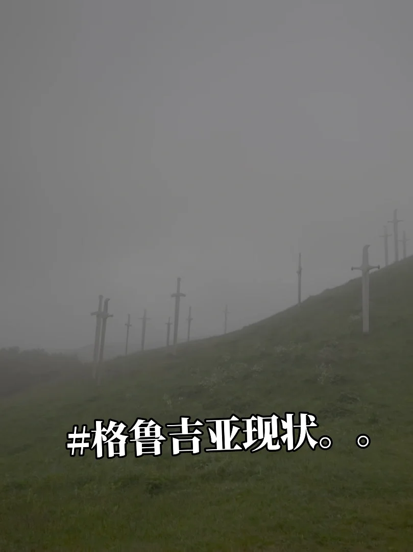 格鲁吉亚已回（已被宰）内容很脏，但很真…