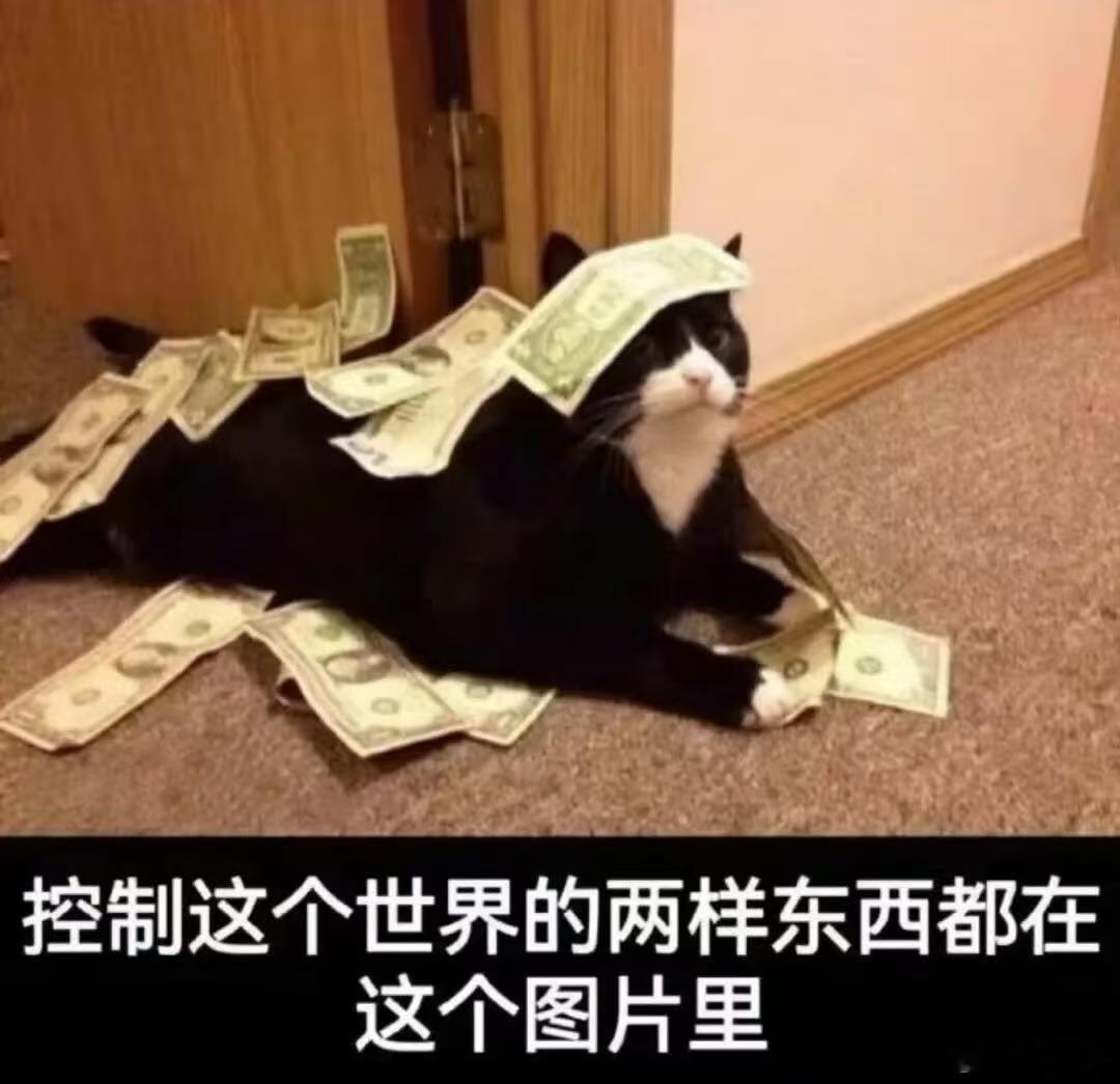 💰🐱memes迷译图
