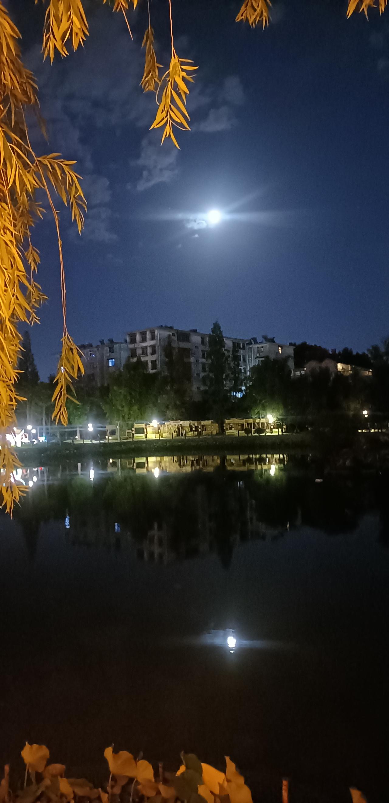 【夏之韵·莲花池公园的月夜引发的人生思考】晒晒我的摄影作品月光清绝，白云淡淡