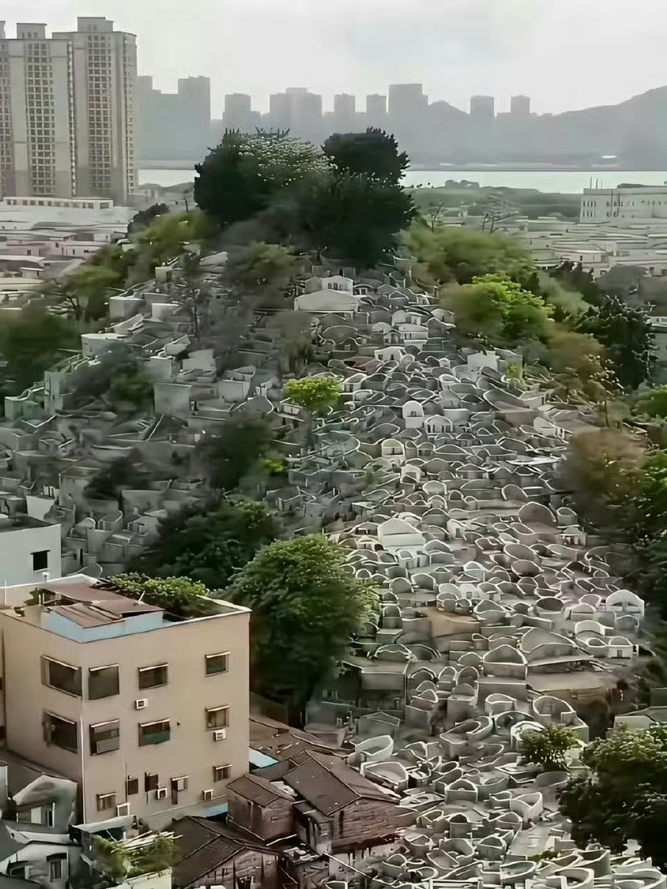 国家为什么提倡火葬？看看这就明白了。