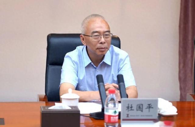 杜国平, 被查