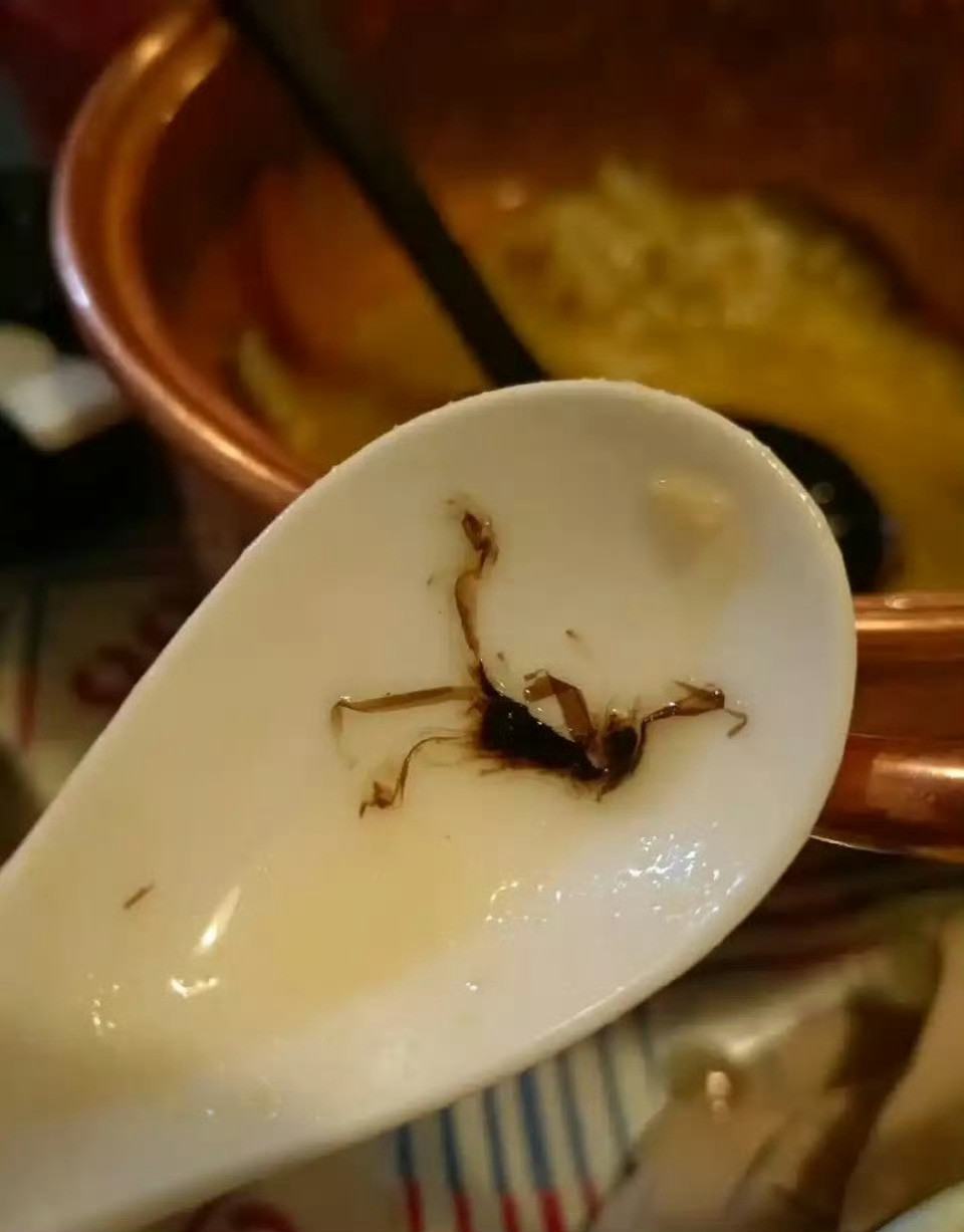 出去吃饭吃出了虫子，店员说这是香菇​​​