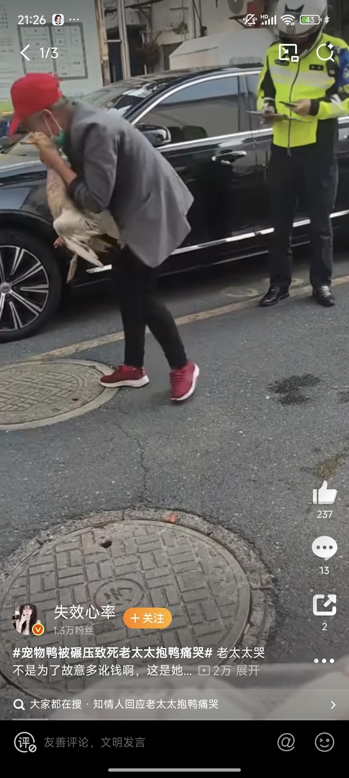 昆山老太抱鸭痛哭：四年陪伴是宠物，更是老伴化疗时的