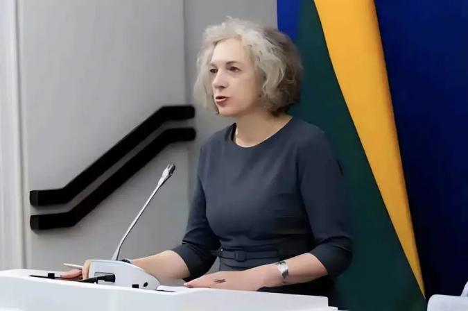 立陶宛终于摊牌了！拿着“催款单”找台当局要钱：说好的芯片厂呢。2026年3月