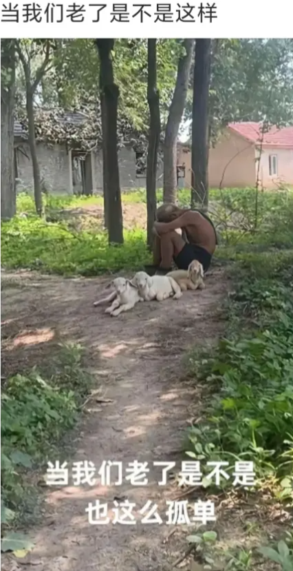 当我们老了是不是也这么孤单