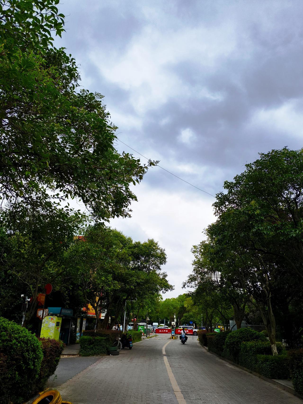 南京这台风“巴威”真是个“狠角色”！它完全不按套路出牌，把气象预报员都折腾得改了