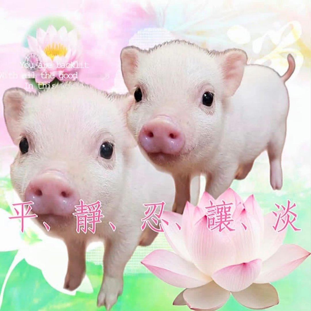 三大运营商垄断了流量卡之后买了一张正规流量卡我每个月仅仅只有50个g的流量终于体