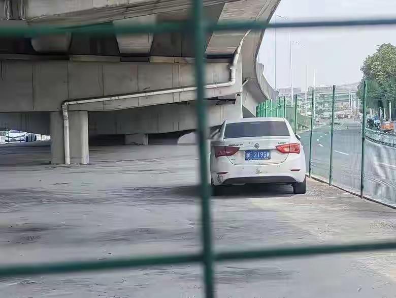 这一辆浙F别克车似乎成了僵尸车，停在上海市区一高架桥下超过1年了！车子的四周都