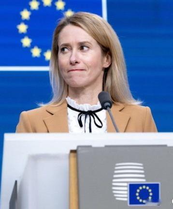 不可思议！欧盟为了实现自身目的，竟然恶意指责中国。英国路透社等多家外媒报道，欧