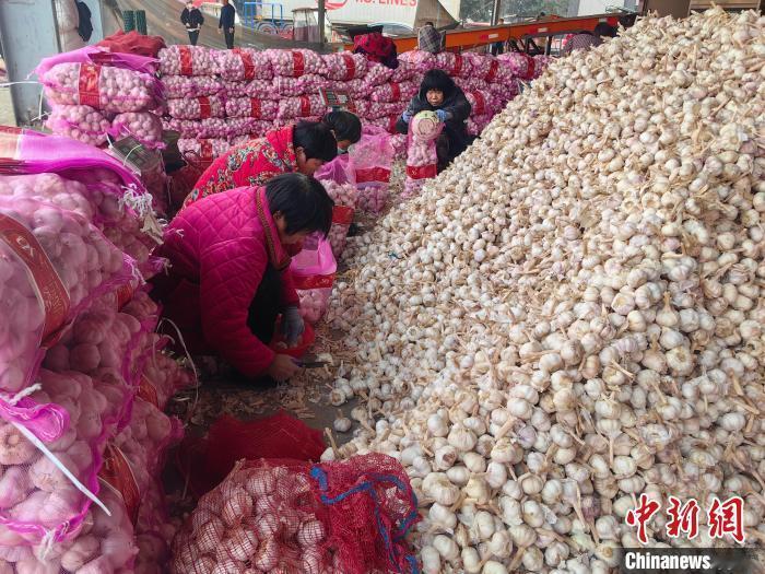 美国为何害怕中国大蒜一颗普通大蒜，能让美国紧张几十年，这事说出来很多人不信，但