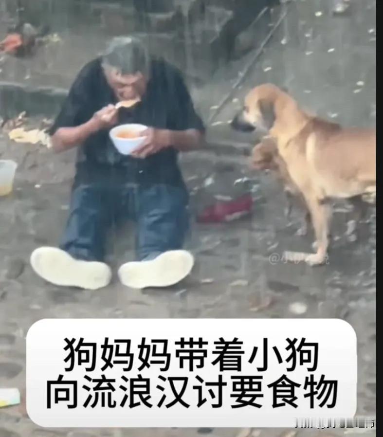 全网都被感动了。天空下着大雨，流浪汉祈祷到一点食物之后无处可避雨，竟然在大雨中去