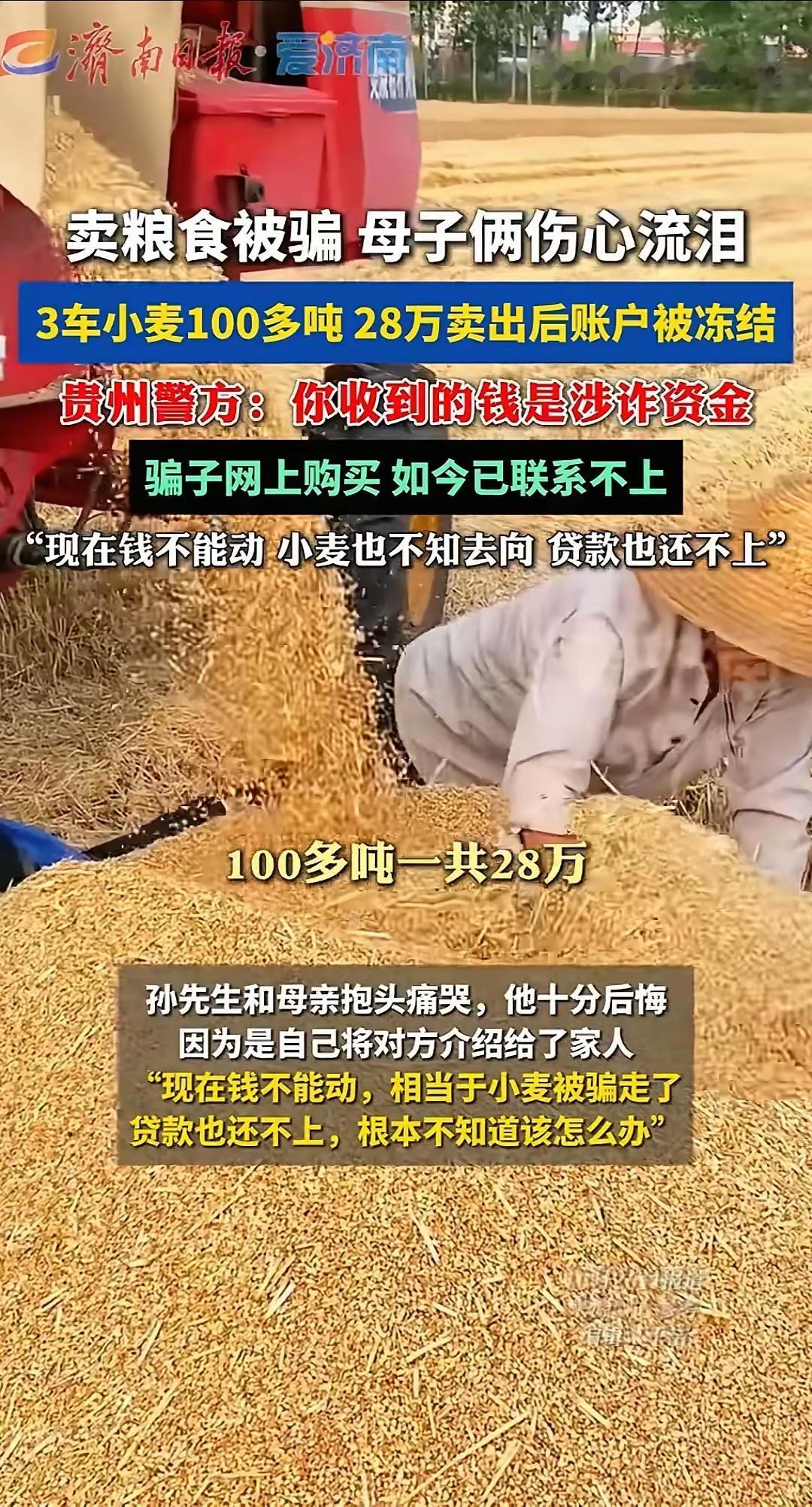 终究是老实人扛下了一切!河南孙先生卖100多吨粮食换来的28万货款,转头就因涉诈