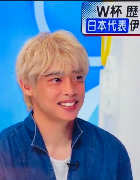 天啊好肿的狗儿