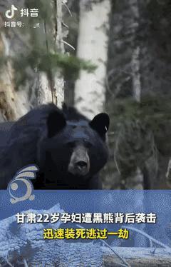 甘肃22岁孕妇放牧遇黑熊，右眼球被咬脱落，竟靠装死从熊口逃生，这命硬得让人心疼又