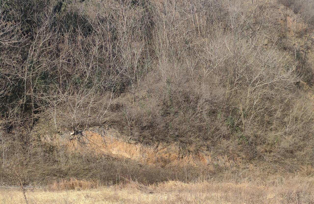 看《太平年》后的几点感慨：一、没有那能力，当上王或者皇帝不要动辄来“硬”的，否