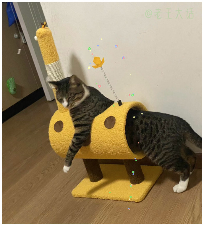 突然发现了新玩法