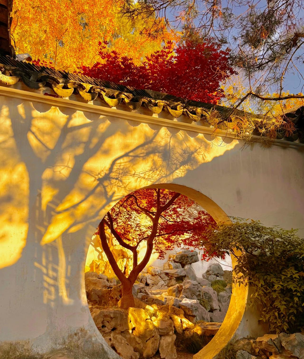 男人接触的女人越多，就越能体会到女人就是天生的骗子。你可以亲吻女人，不可以相信你