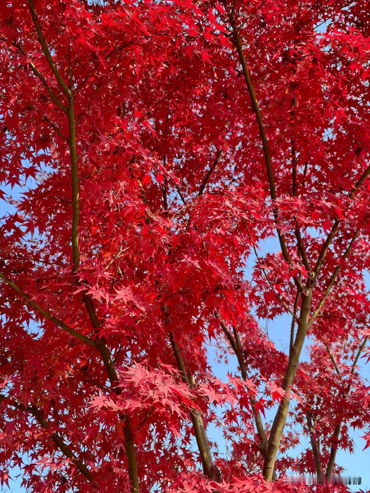 为啥越穷越忙，越想逃去旅行？谁懂啊！月薪3千天天加班到深夜，刷到别人海边散