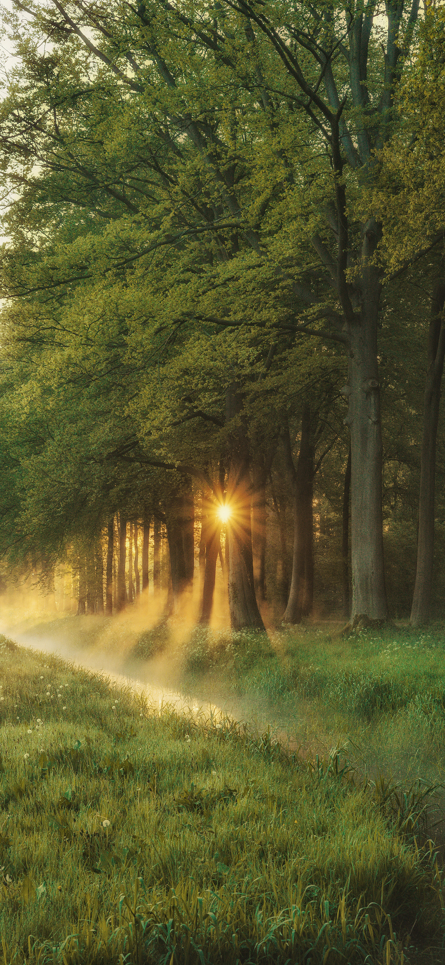 早啊，今天睡得香这会醒了还没起风景壁纸