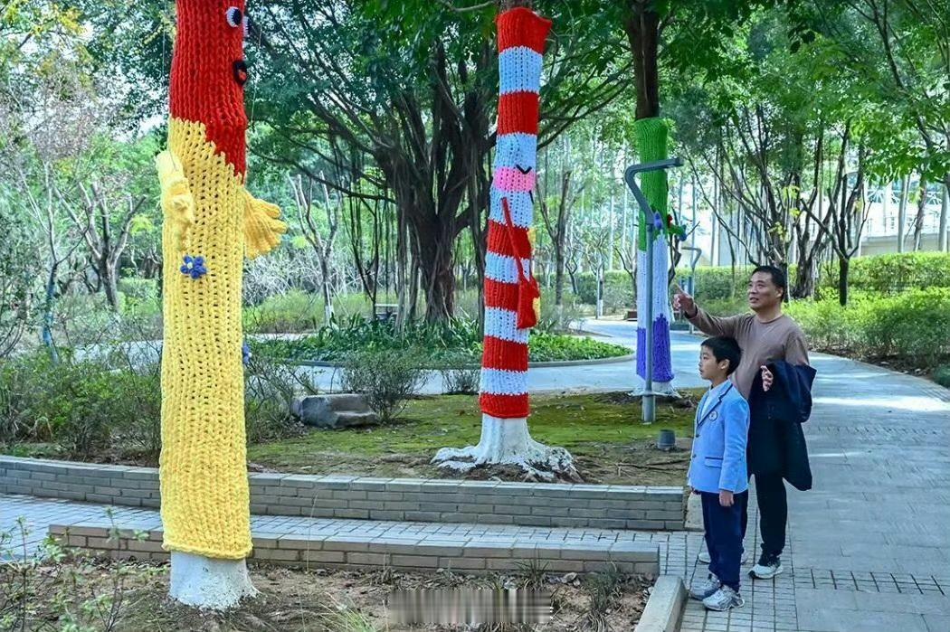 【可可爱爱！福州大树穿上新年毛衣】福州琴亭湖公园的步道旁，香樟树纷纷披上了色