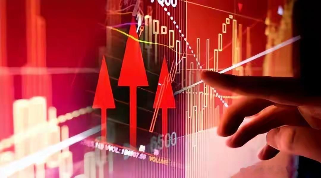 章盟主一季报的秘密：他买的不是资源股，是未来十年看完一季报里章盟主的持仓变化，我