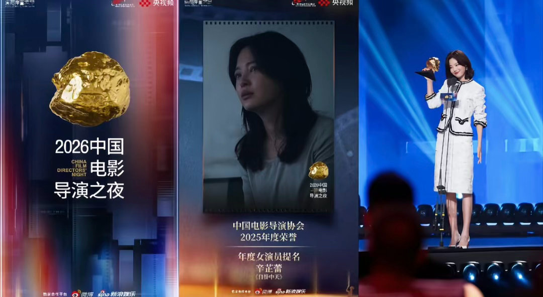 #曝金鸡奖最佳女主角提名名单#高叶和辛芷蕾这呼声也太高了，讨论区基本快分成两派了。一个气场强，一个角