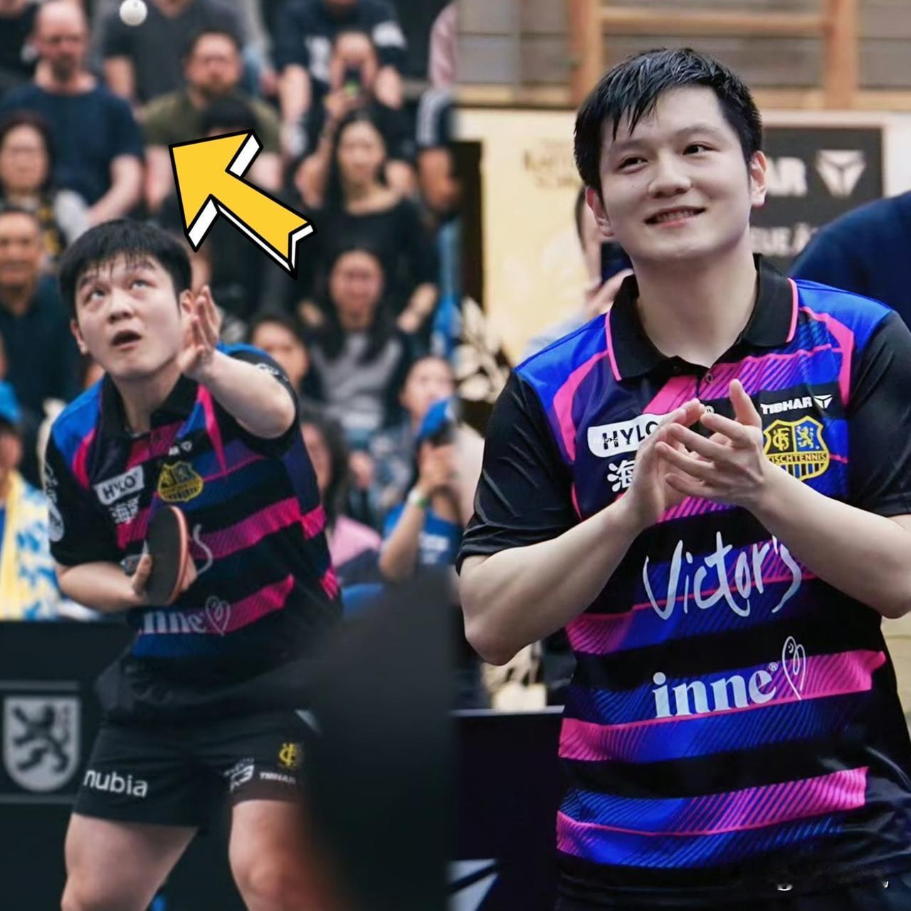 今天刷到樊振东现身美国，男乒青黄不接，世乒赛缺他真的能扛住压力吗？当年我