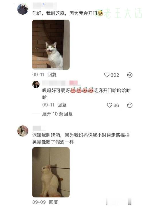 当代萌宠取名现状：全是爸妈的脑洞大型现场。
