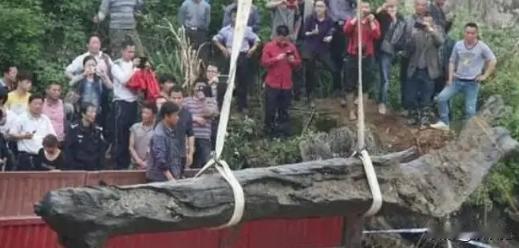 2013年，一位江西男子在河边意外发现了一根价值连城的万年乌木。他不惜投入巨资，