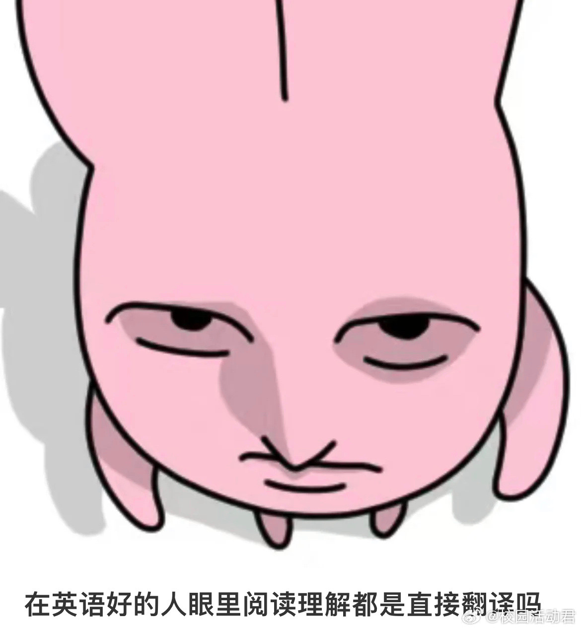 在英语好的人眼里阅读理解都是直接翻译吗？​​​
