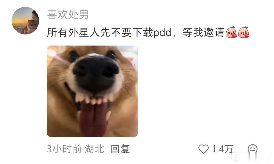 外星人要是有外星人来了，我就躲到山姆超市，没有会员外星人也进不来！