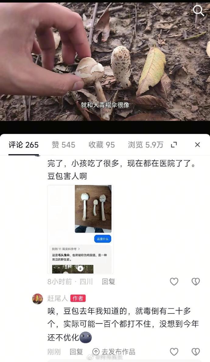 不要相信豆包识别的野生蘑菇也是搞笑的！吃野生菌，连当地人都得蹲地上看半天，你倒