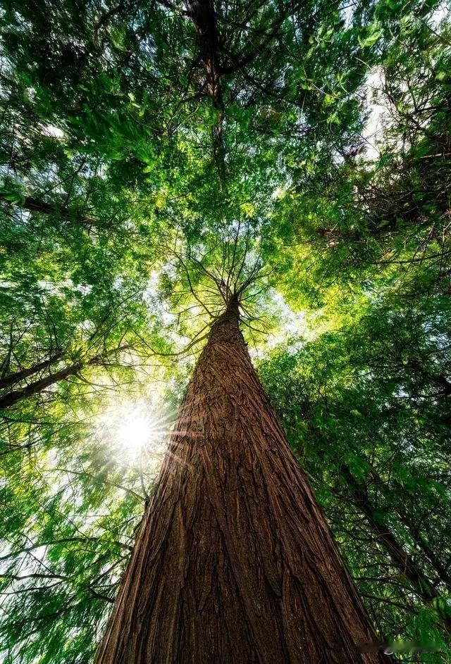 一位北大教授令人醍醐灌顶的话：建议所有女人，到了中年，要想孩子跟妈妈更亲就