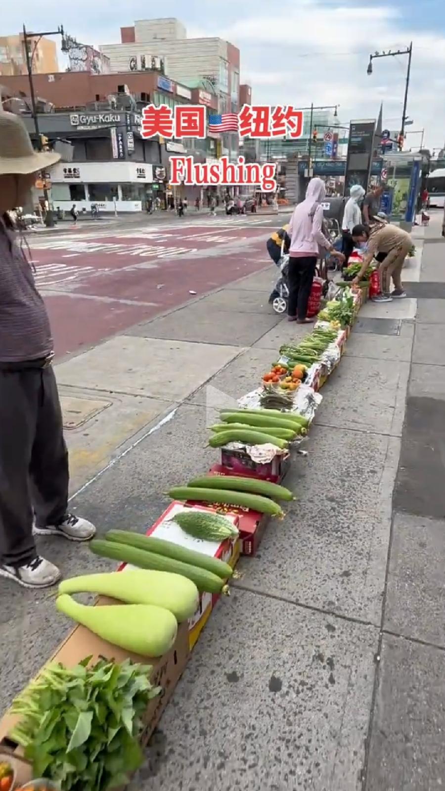 中国大爷大妈纽约早市摆摊卖菜。没有城管查吗？为什么这么巧，菜都是放在纸箱子上面
