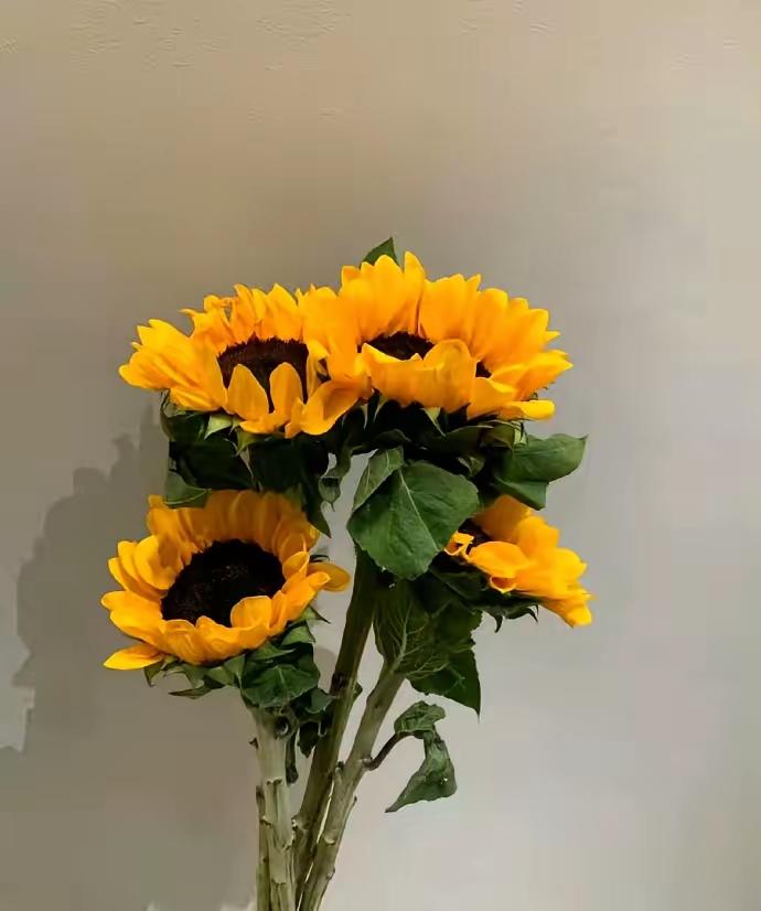 人生不值得做的三件事，每一件都会让你犹如醍醐灌顶般清醒。一：讨好自己不喜欢的人