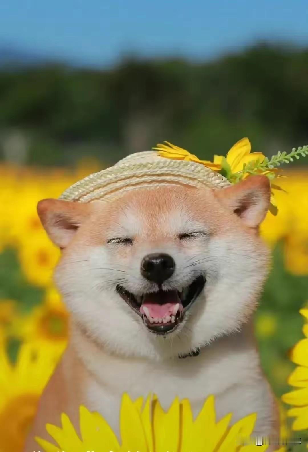 退休了，如果不是生活所迫，最好不要再去挣钱了我们小区物业经理是退休迫聘，工作